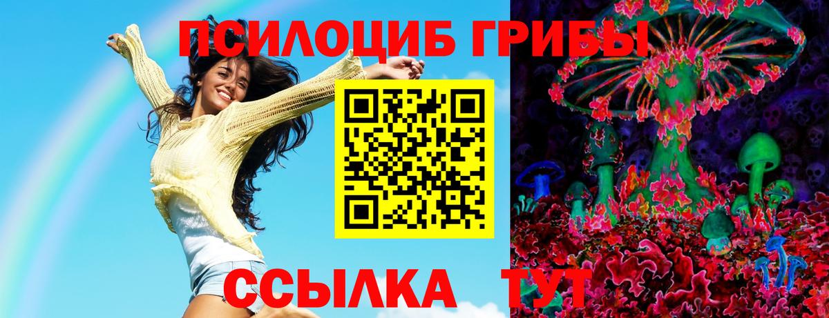 Псилоцибиновые грибы мухоморы  Псилоцибиновые грибы Psilocybine cubensis  Уссурийск 