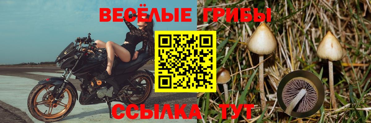 Псилоцибиновые грибы мицелий Уссурийск