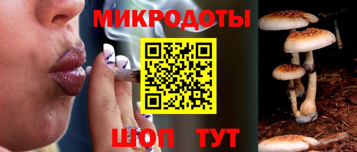 Галлюциногенные грибы Psilocybe  Вход с VPN  Уссурийск 